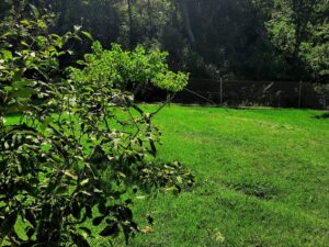 Jardín