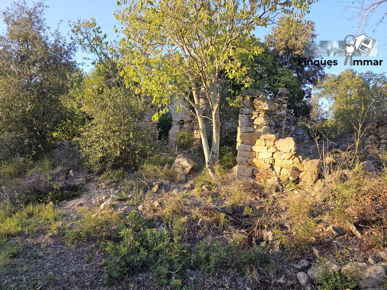 Finca Rústica Riuderenes