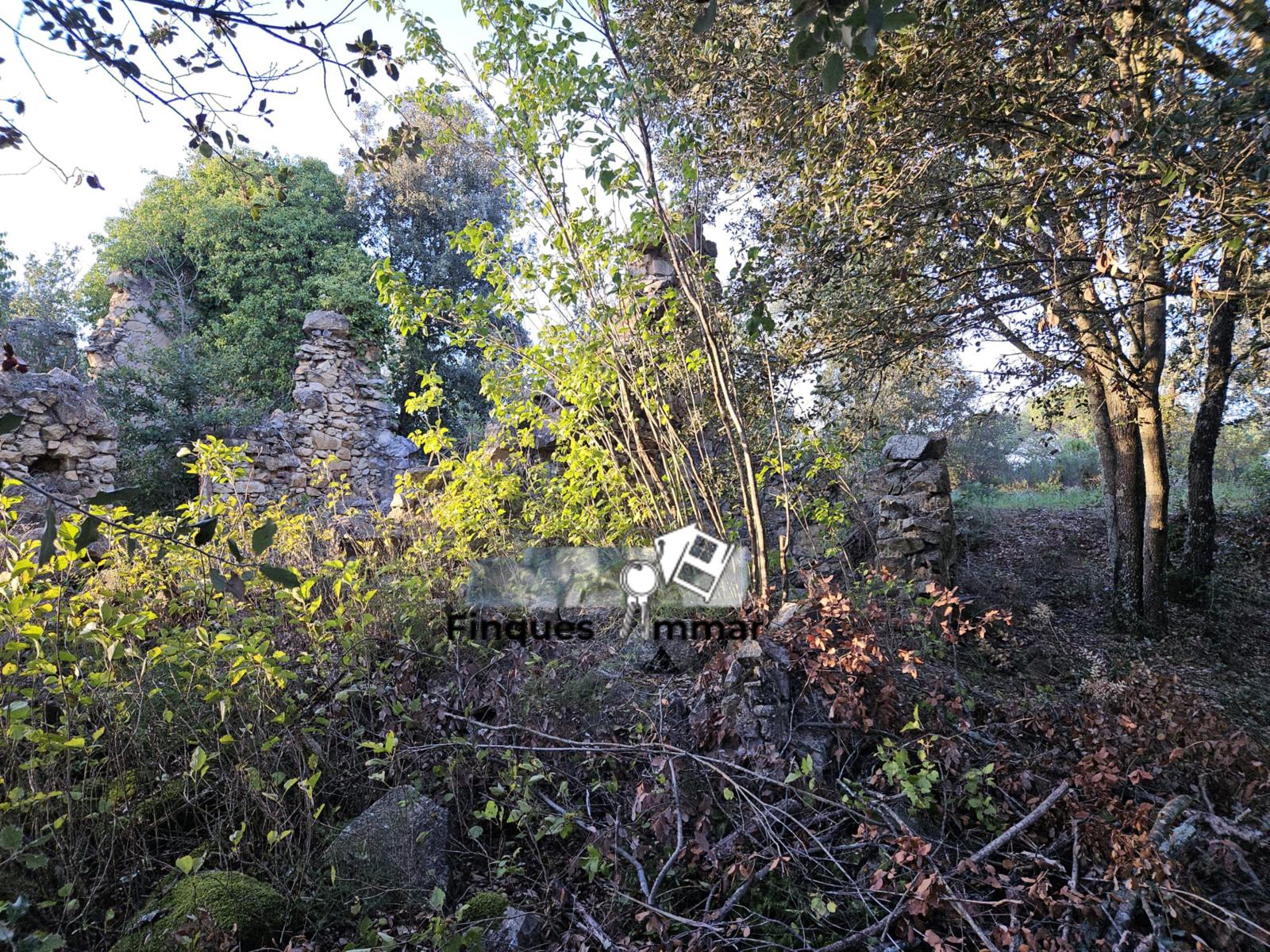 Finca Rústica Riuderenes