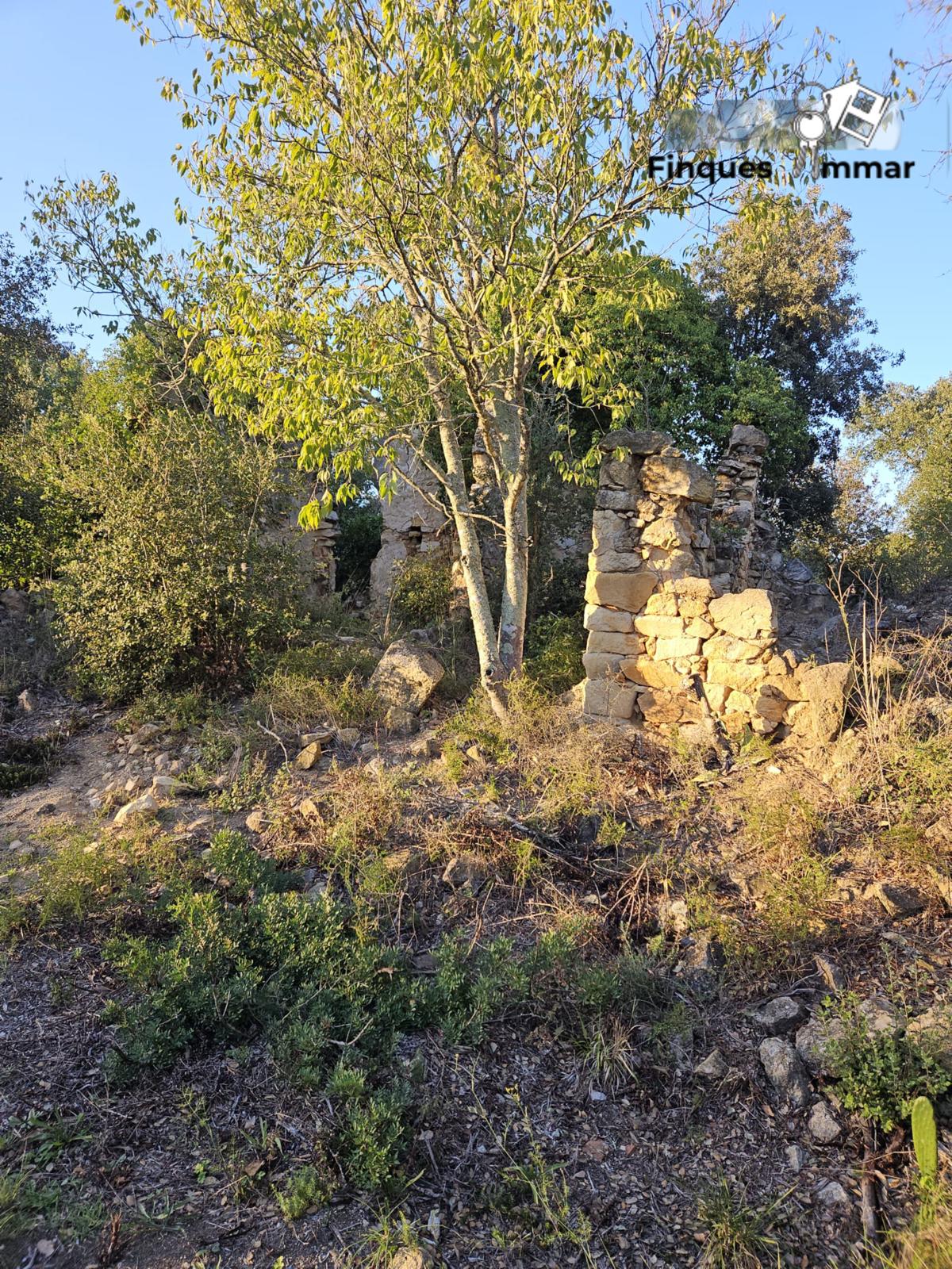 Finca Rústica Riuderenes