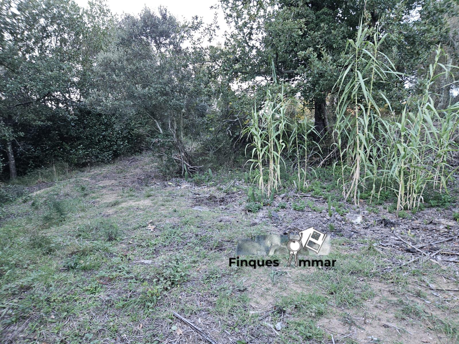 Finca Rústica Riuderenes