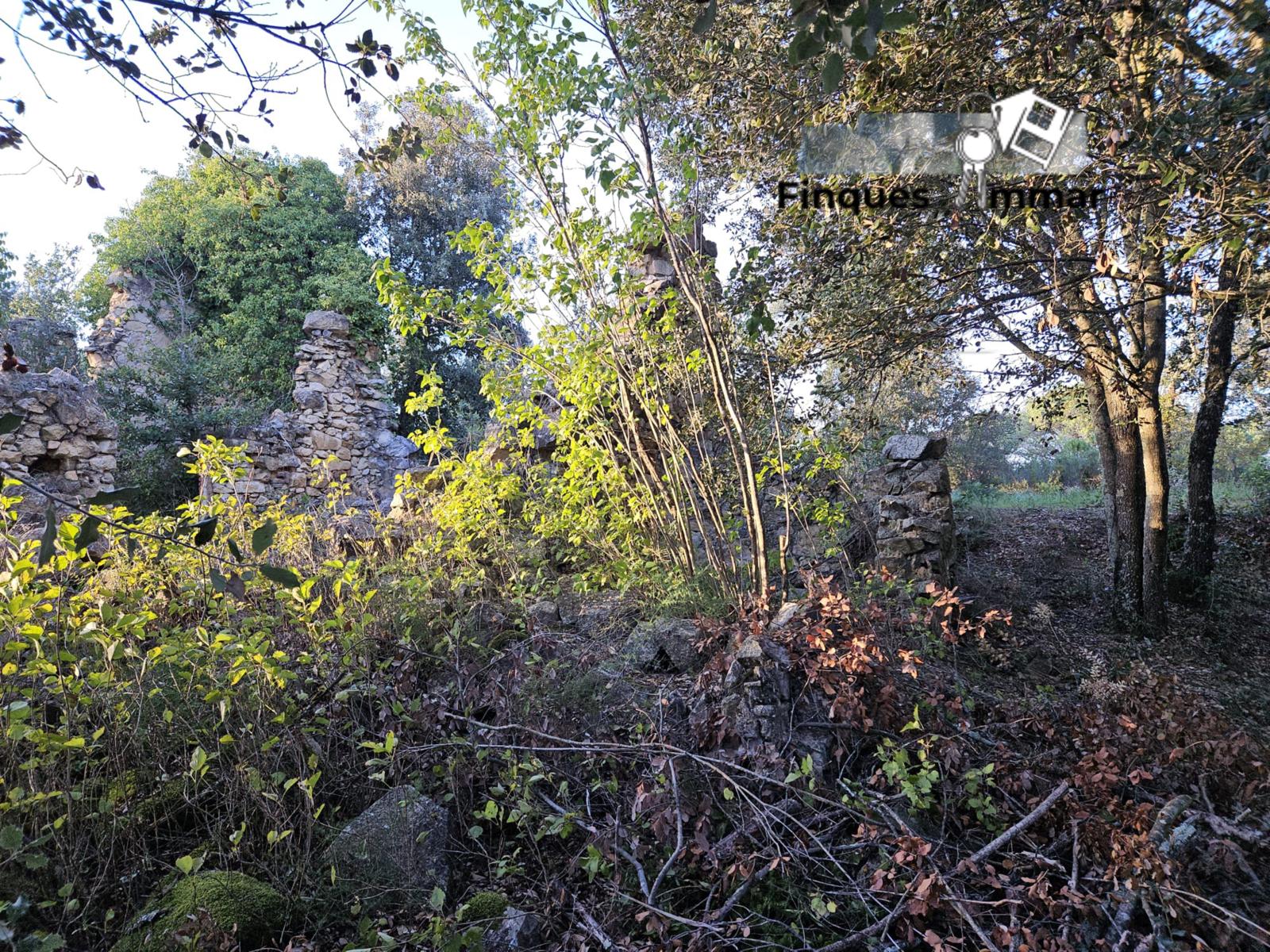 Finca Rústica Riuderenes