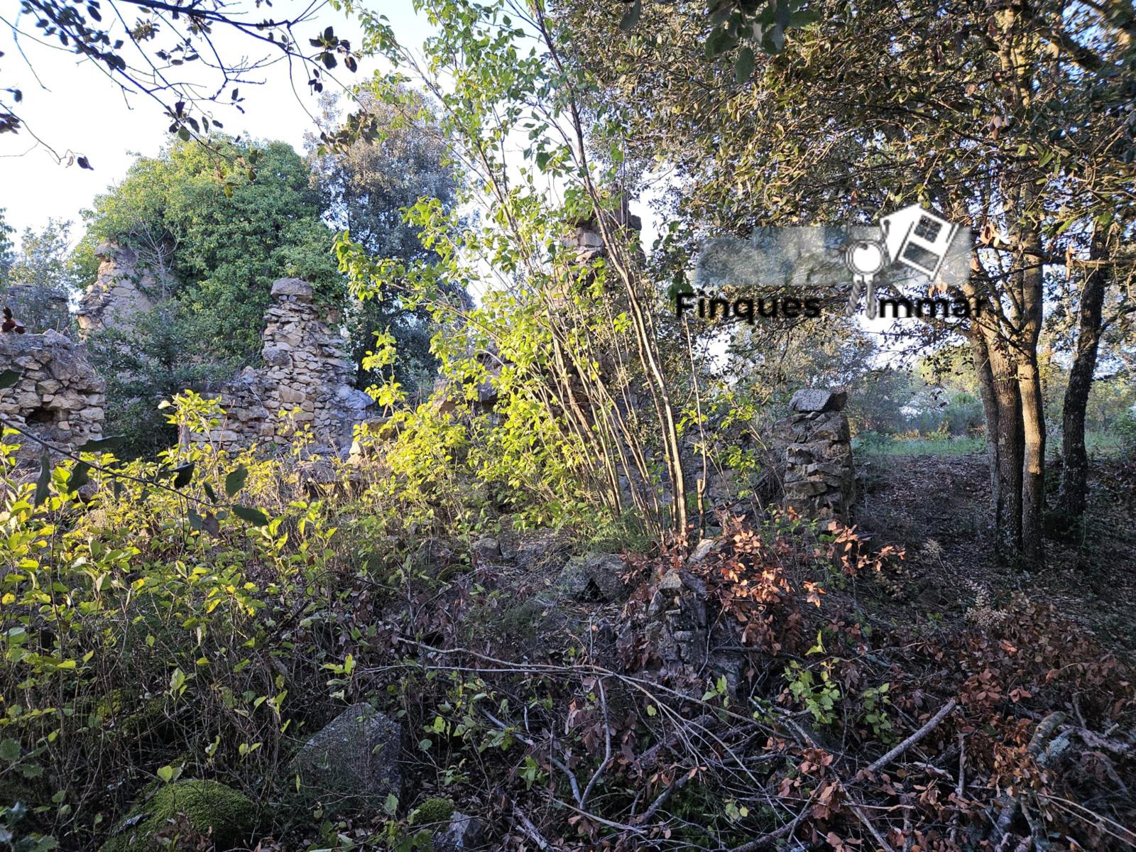 Finca Rústica Riuderenes