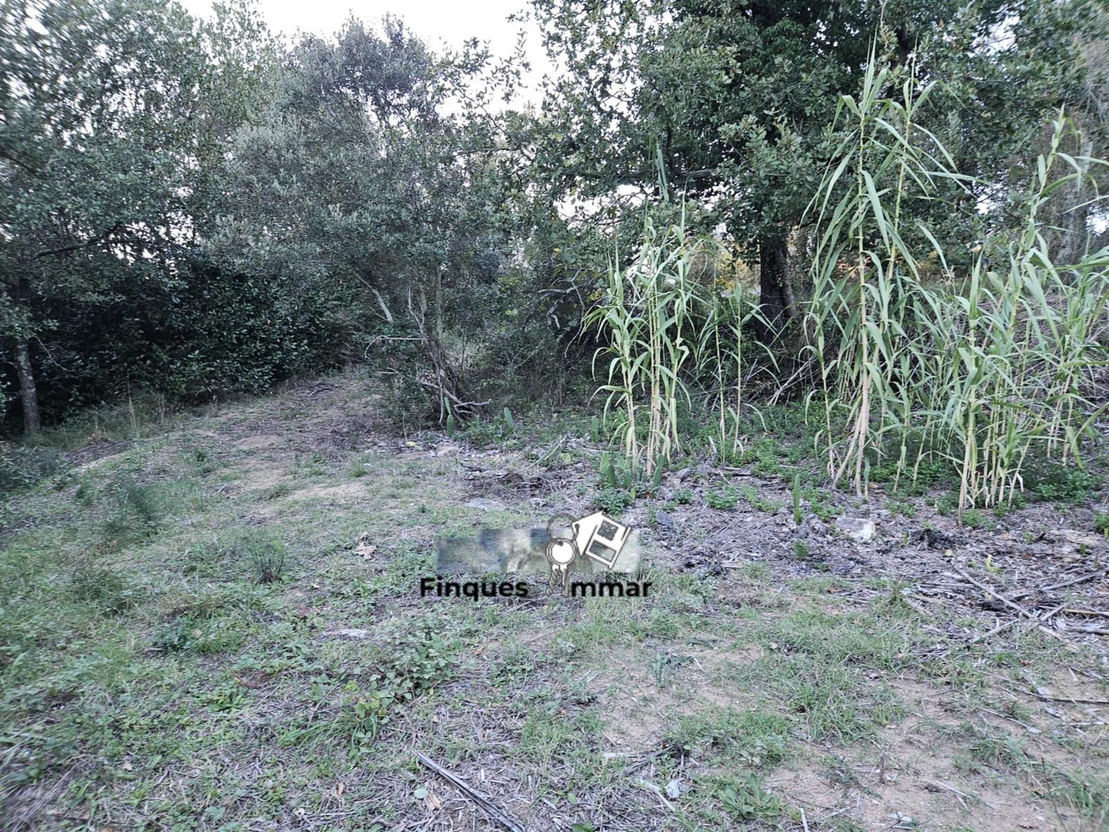 Finca Rústica Riuderenes