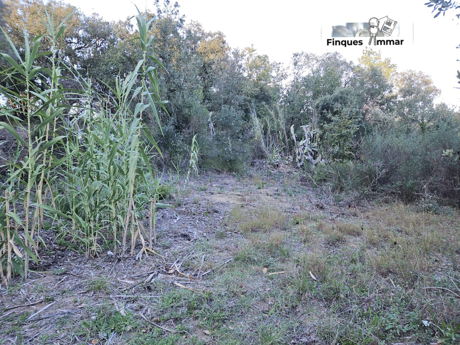 Finca Rústica Riuderenes