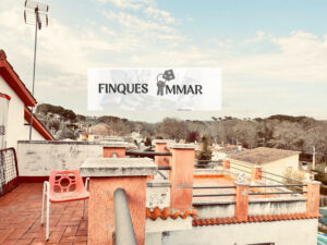 Vista desde el terrado
