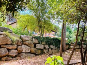 Jardín
